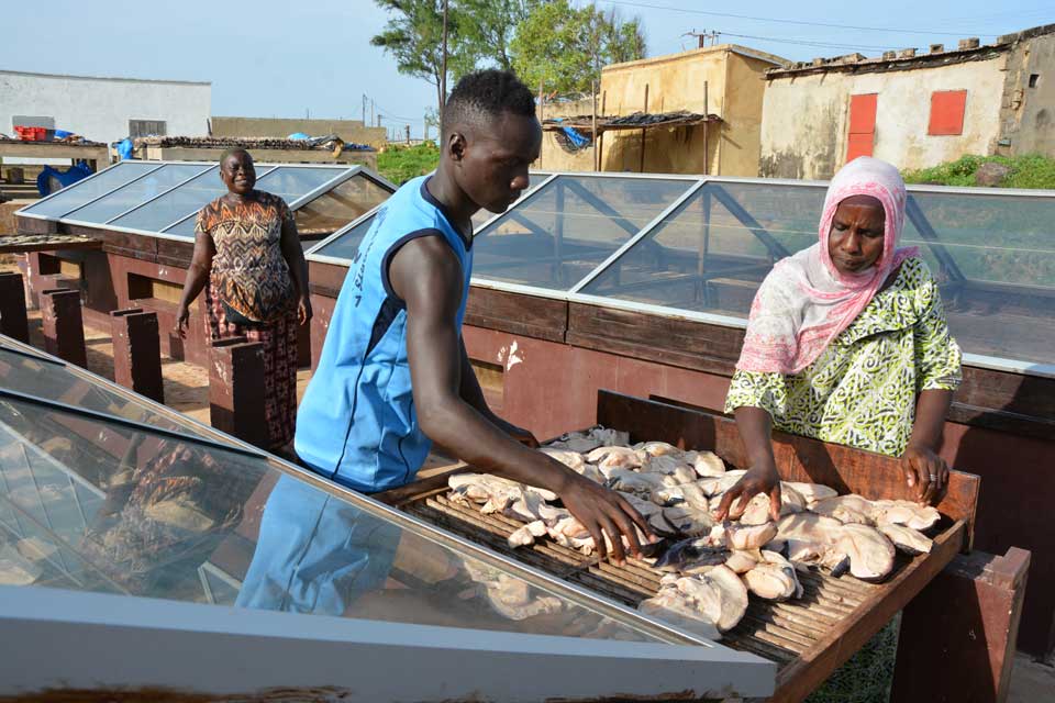 Fish’n smile : de meilleures conditions pour les femmes transformatrices de poisson du Sénégal