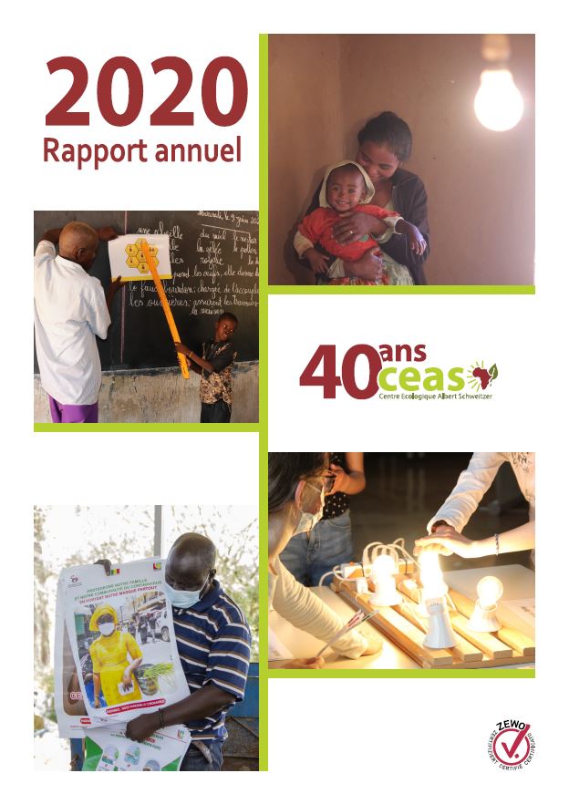 Rapport annuel du CEAS 2020