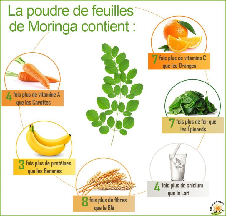 CEAS - Fourche verte : du moringa pour prévenir la malnutrition