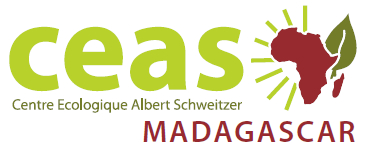 logo mada