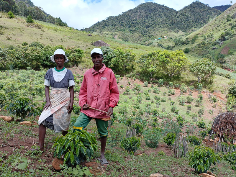 Energynger : Protéger la forêt primaire malgache et créer des emplois verts