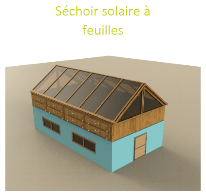 Séchoir solaire à feuilles